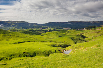 Obraz premium New Zealand Scenery