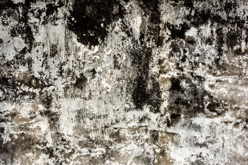 Obraz premium mildewed wall background
