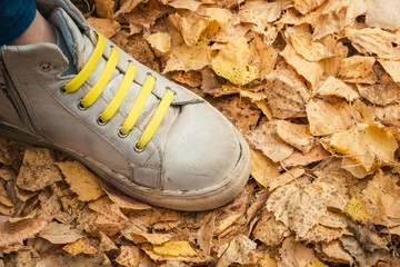 Leg of child with sports shoes and green laces for running on yellow leaves on an autumn day.