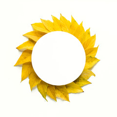 Round frame with yellow autumn leaves isolated on white background. Square layout. Hello autumn concept