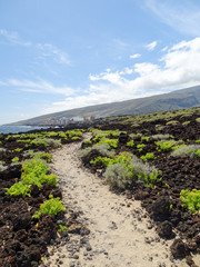 Spaziergang durch Vulkanlandschaft, Teneriffa