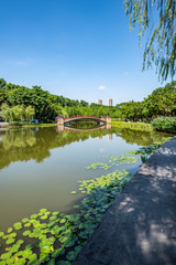 Fototapeta na wymiar Scenery of Lake View in Qiandeng Lake Park, Foshan City, Guangdong Province, China