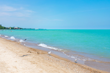 Rogers Park Chicago Beach and Lake Michigan with Seagulls