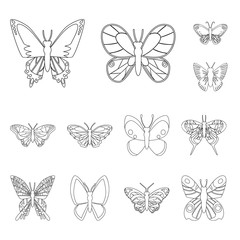 Vector design of fly and decorative icon. Set of fly and insect vector icon for stock.