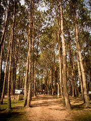 Natureza
