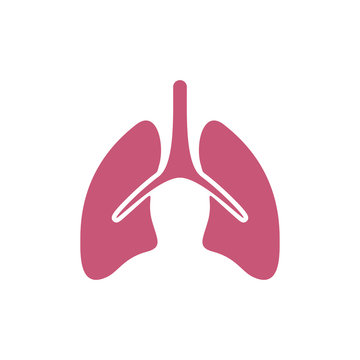 Organs logo concept vector template. Internal Organs Related Vector Line Icons. Contains such Icons as Human anatomy. Editable Stroke.