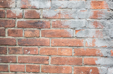 red bricks wall with gray cement