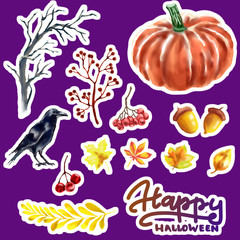 Obraz na płótnie Canvas Illustrations for Halloween. Crow pumpkin leaves rowan twigs.