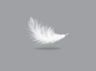 single solf white feather falling in the air.