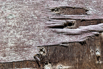 Wood textures of different types and sizes of boards and planks