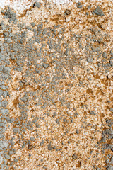 Rusty texture and metal weathered surfaces