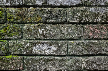 rough stone brick wall with lichen and moss