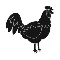 Isolated object of cock and bird logo. Collection of cock and feather stock symbol for web.