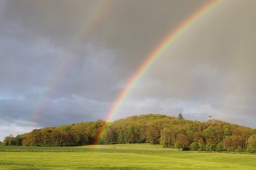 Naklejka premium rainbow over field