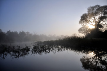 misty morning on the lake