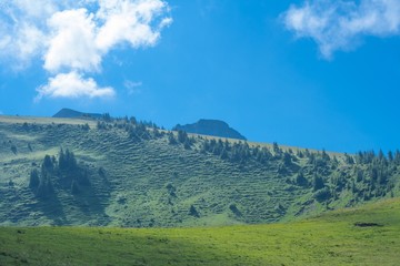 Fototapeta na wymiar Beautiful swiss alps mountains. Alpine meadows.