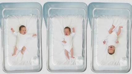 Funny babies moving hands and legs in hospital beds, newborn activity