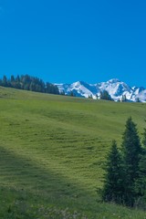 Beautiful swiss alps mountains. Alpine meadows