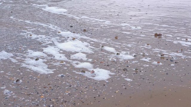 Strong sea waves on the sandy shore. Shells of rapan on the sand