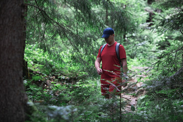 Obraz premium man hiker walking by forest trail. summer time