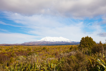 Fototapeta premium Mt Ngauruhoe Landscape