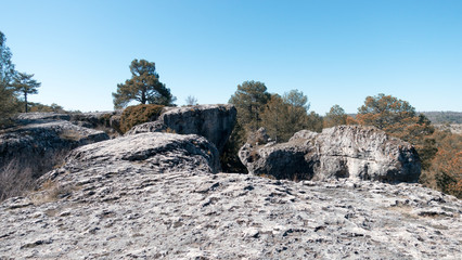 Natural place formed by vegetation and rocks with shapes caused by erosion