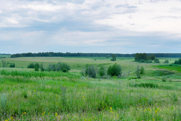 Fototapeta premium Green background with a beautiful lawn and blue sky