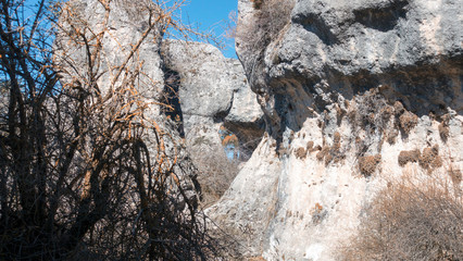 Natural place formed by vegetation and rocks with shapes caused by erosion