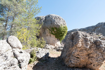Natural place formed by vegetation and rocks with shapes caused by erosion