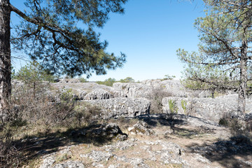 Natural place formed by vegetation and rocks with shapes caused by erosion