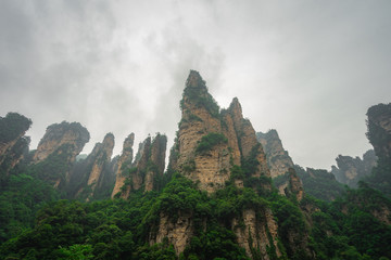 Fototapeta na wymiar Zhangejiajie or Wulingyuan national park in Hunan - China. This location is rate as world heritage site in category of natural. Amazing many peaks of limestone mountain. Landmark scenic view photo.
