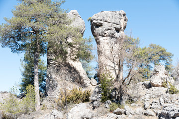 Natural place formed by vegetation and rocks with shapes caused by erosion