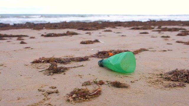 Plastic bottle was brought to the shore on the sandy shore