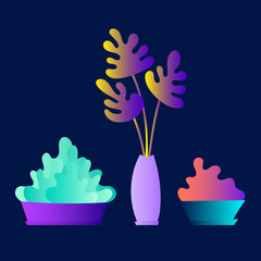 Flat plants set. Indoor plants. Flower pots. Leaves. Foliage. Trendy vector collection. Plants collection isolated on white. Flat design. Gradient colors. Outdoor. Tropical.