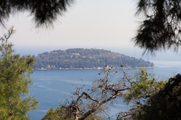 view of prince island in Istanbul Turkey on a sunny day