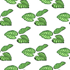 Hand drawn  seamless pattern with a background of various colored plants. Package concept.Layout, mockup design.