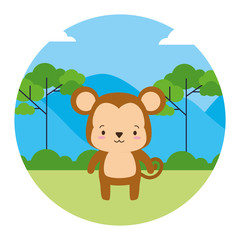 Obraz na płótnie Canvas cute monkey animal landscape natural
