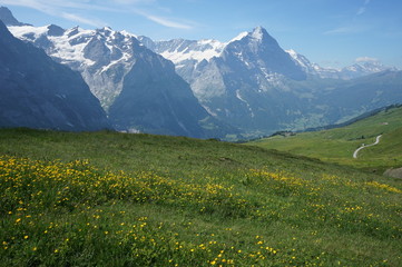 スイスアルプス