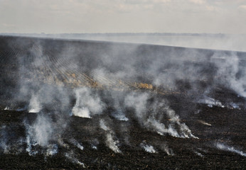 The consequences of a fire on the field, smoke and ash