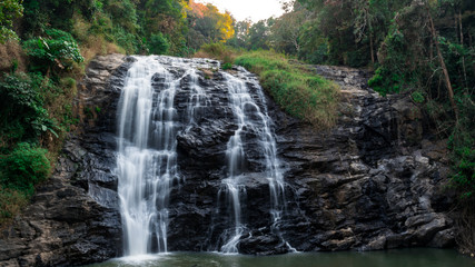 Fototapeta premium waterfall in the forest
