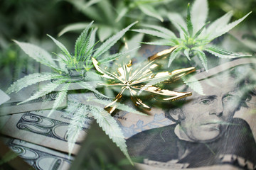 Cannabis Industry Profits Concept With American Twenty Dollar Bills, Marijuana Leaves & Gold Marijuana Leaf High Quality 