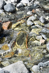 Creek over Rocks