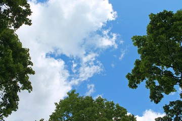 The sky over Parnassus. Alexander Park. Pushkin. Russia.