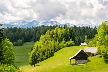 Triglavski national park near Bohinj lake, Slovenia