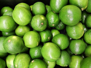 Fresh green lime pile in harvest season
