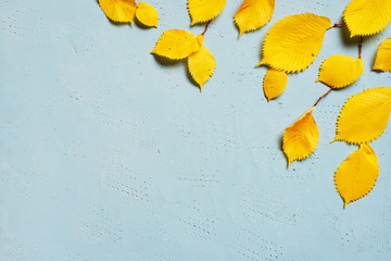 Blue textured background with bright yellow autumn leaves