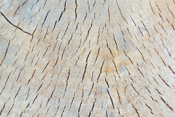 wooden background. abstraction