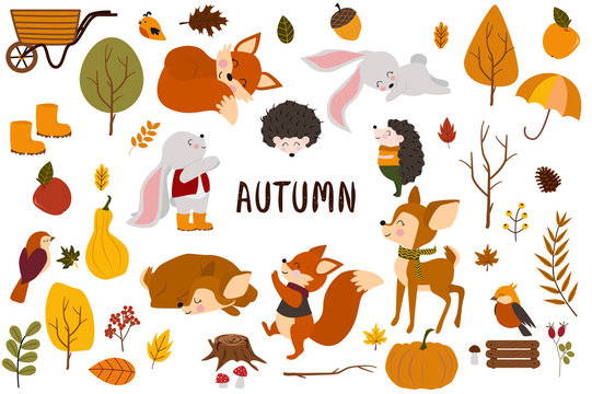 set of isolated cozy autumn and elements - vector illustration, eps