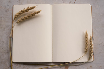 Open blank page book with a copy space and a rye branch on an old rustic white table background.