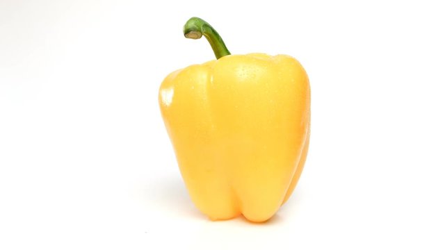 One yellow papper rotates on the white background